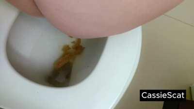 Cute, Casual Toilet Poo (+ wiping and flushing!) [GIF]