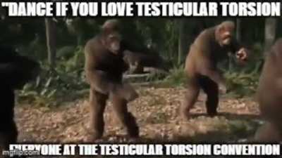 Made the 2025 meme dream a reality