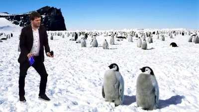 Que está joyita no envejezca 🤣