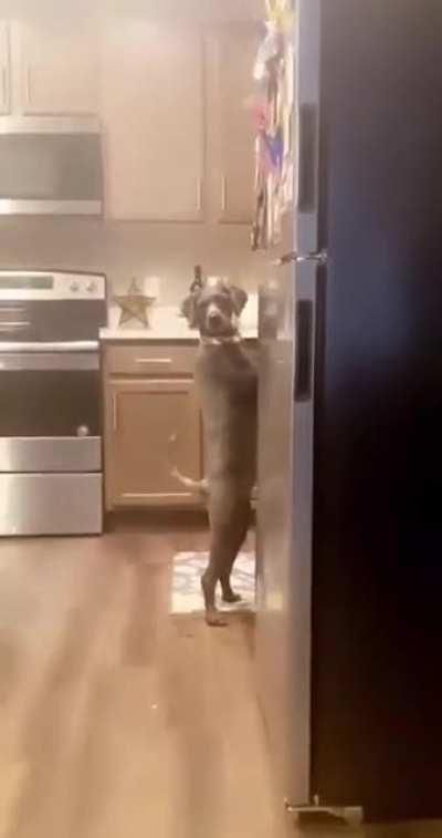 Caught red-handed😂