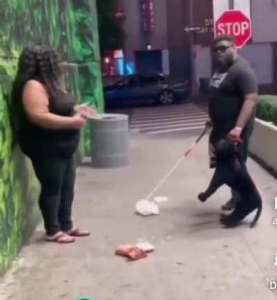 Blind man’s dog attacks woman