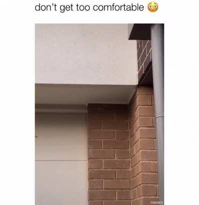 Watch your back... 😨