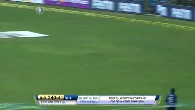 Lord Kedar Jadhav. Perfect replacement for 3-D vector.