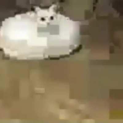 DoomerGvng - Video #8623