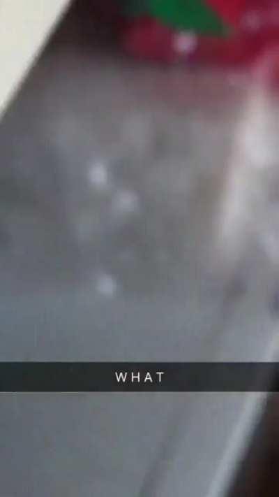 THIS ... IS ... SPARTA!