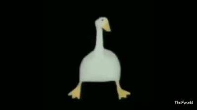 tiembla willy tiembla.......