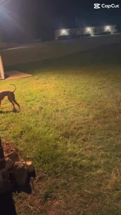 I’m going to the concert at the house of blues in Dallas on the 1st of November!