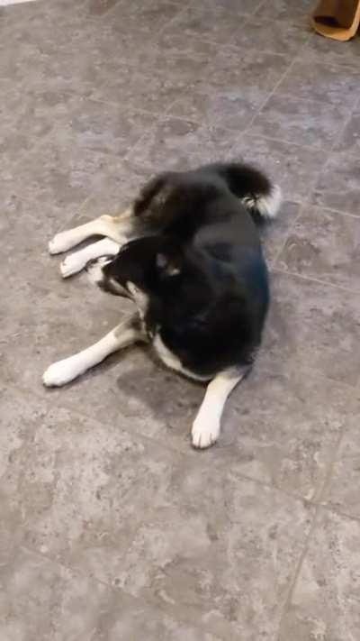 Ah yes, the old scream flop maneuver.