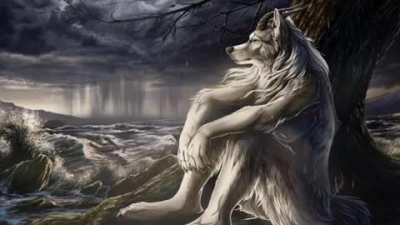 imagina entrar a reddit y luego a ver el subreddit del cristian fantasma y que lo primero que te salga es que esta lleno de videos subidos por el mismo usuario