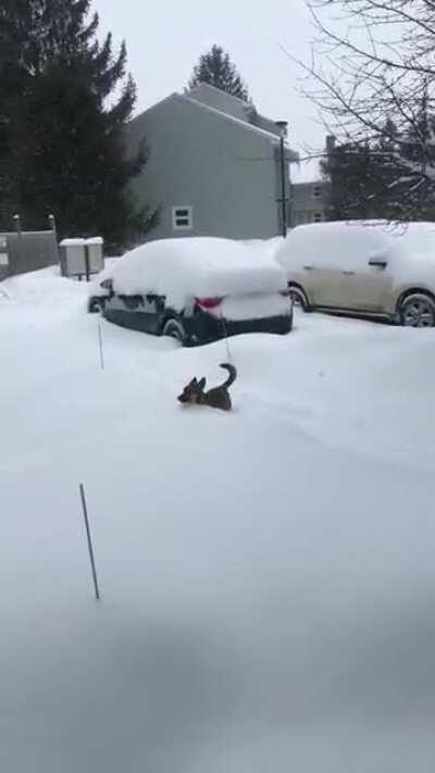 Da-dum, Da-dum, Da-dum