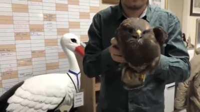 Next generation gimbal stabilizer