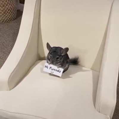 HIS LITTLE HANDSES THO