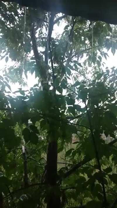 Thunder @1:10, enjoy