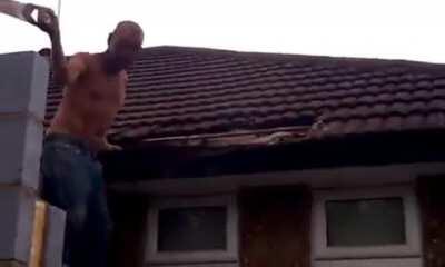 Idiot tries to remove a wasp nest with a saw