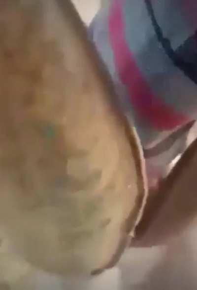 Between a nut and soft place