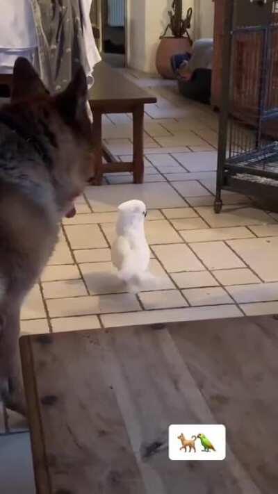 Well, things are really heating up in here, aren't they?