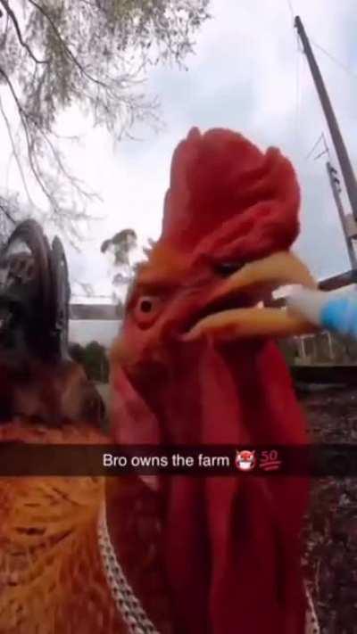 🥵🥵🥵🥵🥵🥵🥵