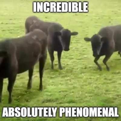 I’m 15 and this is yeet