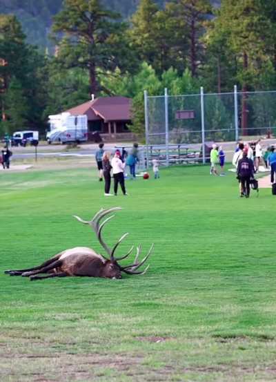 🔥Split Five: A Local Icon Dreaming Big Among the Little Ones
