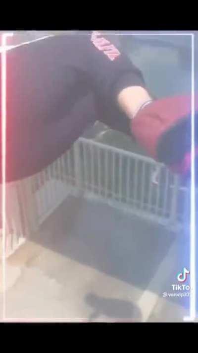 just guys being dudes