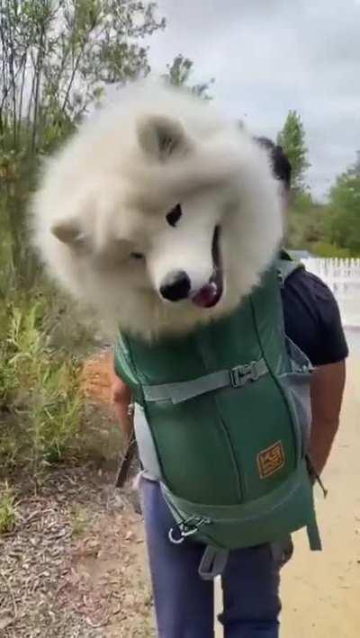 Furberus -- Two-headed Guardian of the Forest