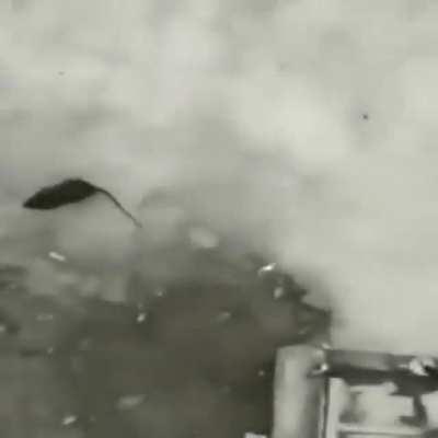 An interesting title