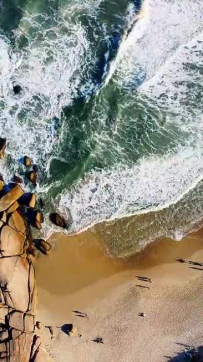 Praia Mole - Florianópolis, ontem de tarde 💙💚 @pedromagrod