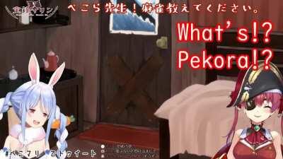 The idol side of Hololive