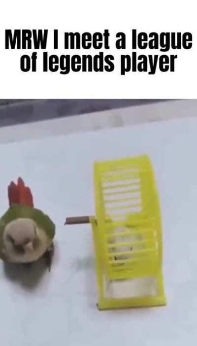 I'm 15 and this is yeet