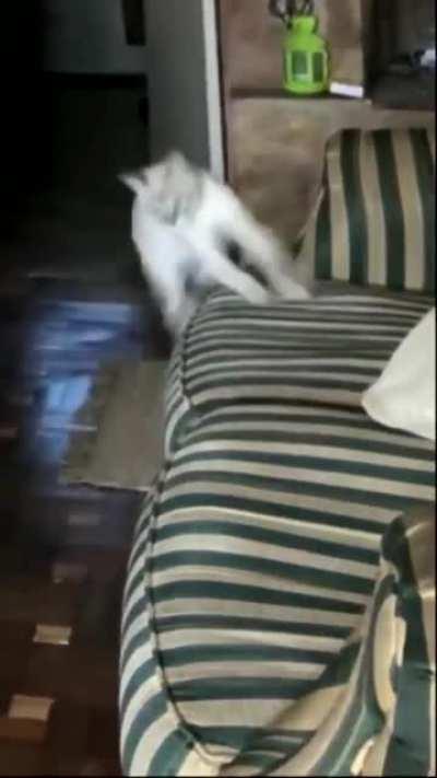 Don’t look at me like that