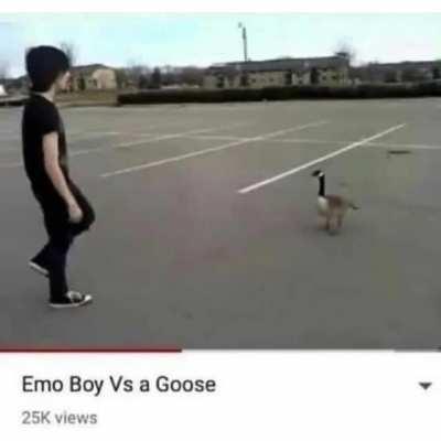 The ultimate showdown