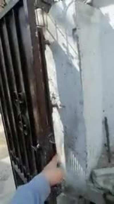 I mean, if it works...