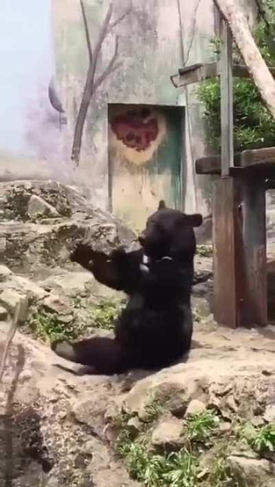 he is learning the baton