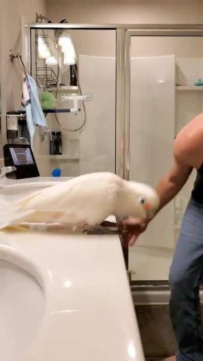 She loves the classics 😅