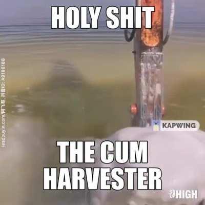 pleaseharvest my cum 😚🤤