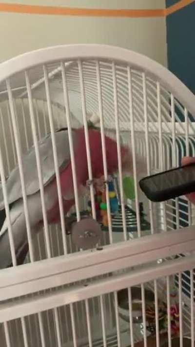 When the hold music is a whole vibe