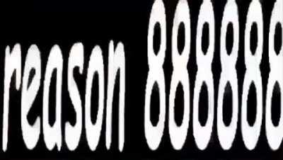 I want a raccoon now