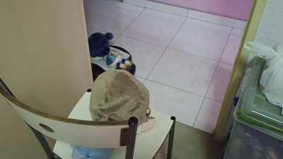 Zensoku Zenshin Yoshiko!