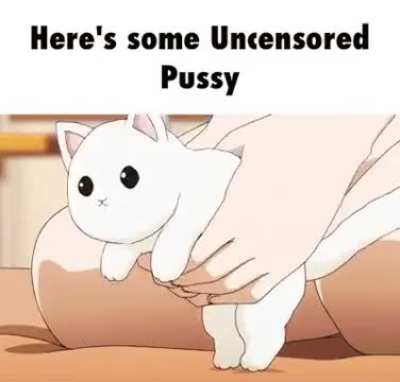 Thought I'd take one for the boys and show em ts