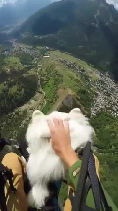 “Having a luck dragon with you is the only way to go on a quest” -Falcore