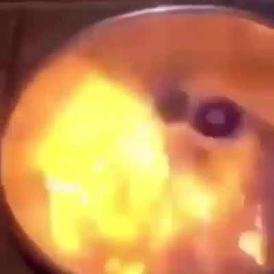 Quando sono con abdul e lui mi consiglia di provare il nuovo life hack per cucinare più velocemente: