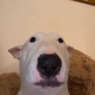 I need help again ! it's some sort of acoustic R&B it's so pretty