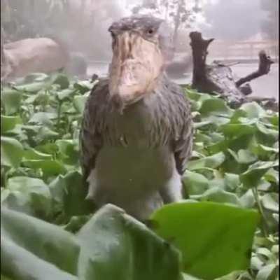 I feel like I'm forgetting something