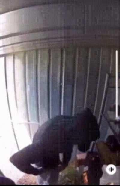 Stealing from an honesty box