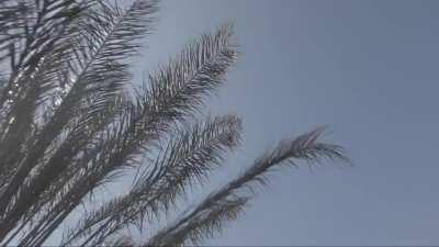 This is to show to my friends who think it’s all fun and games.