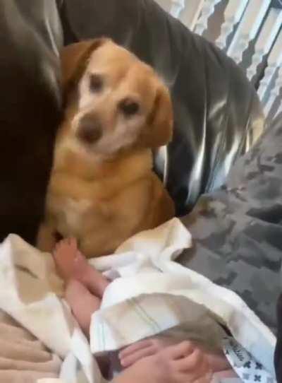 Baby needs a diaper change.