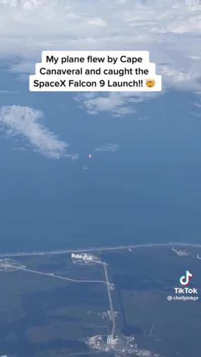 I'd shit myself if I saw this