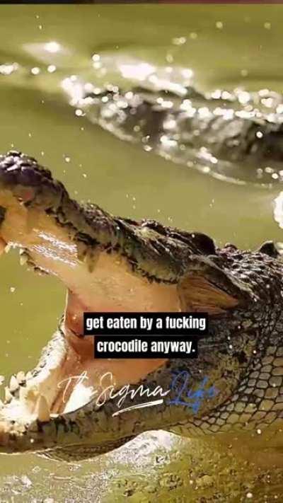 Indian World Cup campaign summarized.