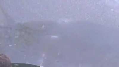 firework set off beneath ice