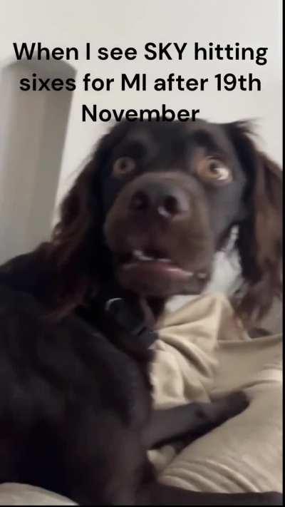 Title hasn't moved in yet 